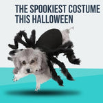 CreepyParty™ Dog Halloween Costumes