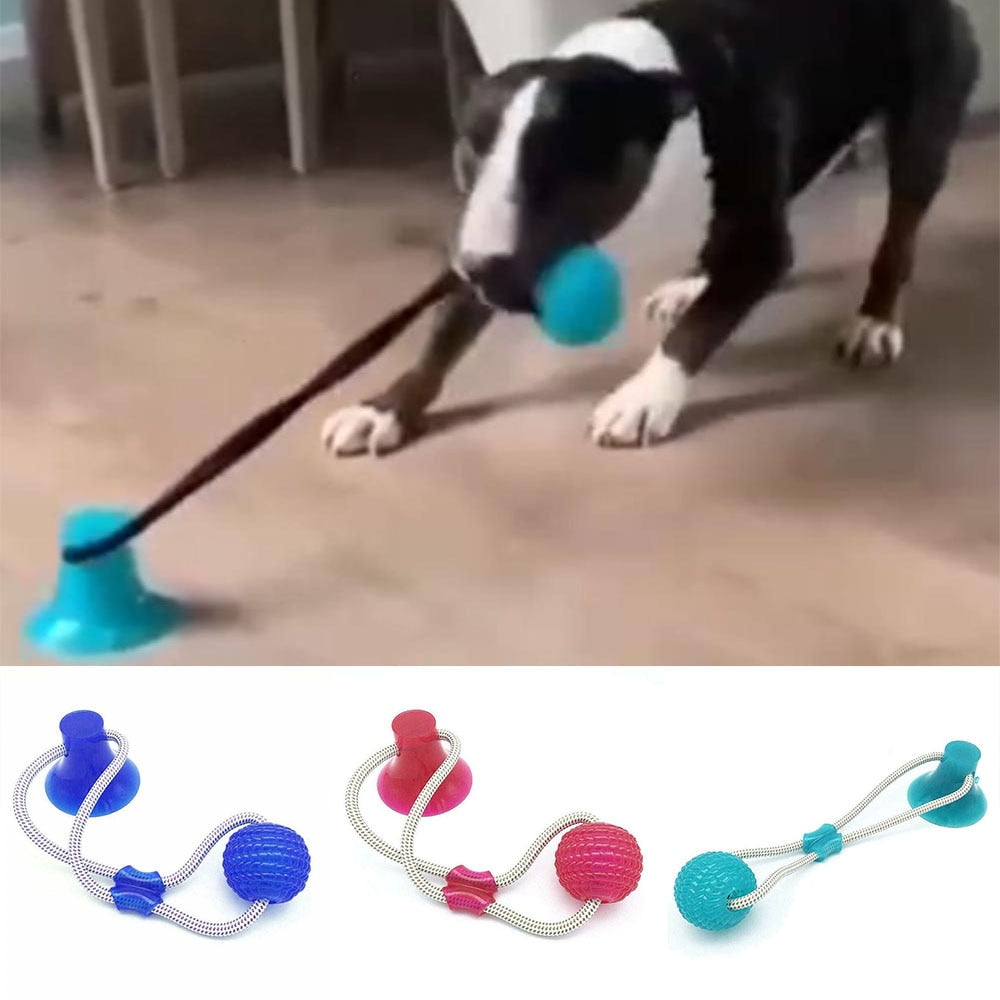 Dog Interactive Suction Cup Push TPR Ball