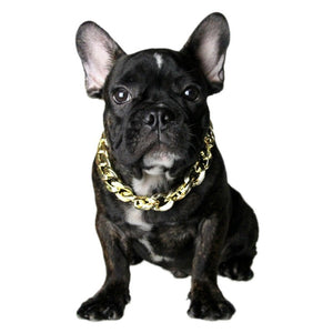 Fashion Dog Chain Collar