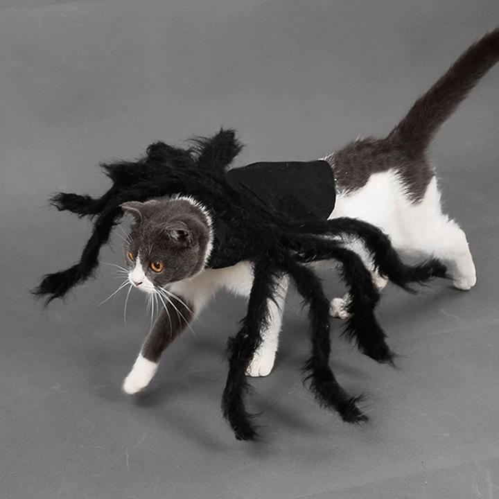 CreepyParty™ Dog Halloween Costumes