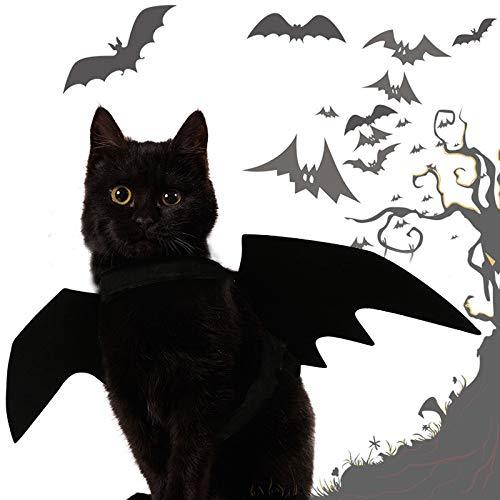 CreepyParty™ Cat Halloween Costumes