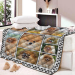 Pomeranian Dog Lovers Quilt Blanket