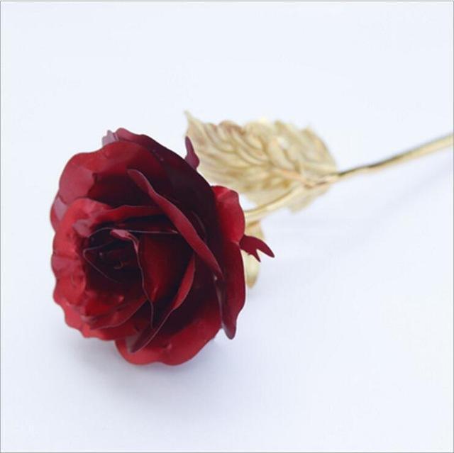 Endless Love Valentine Rose Red Gift Ideas