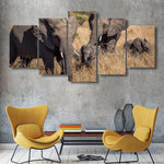 Elephant In Grass 5 Piece Canvas Small / No Frame Wall