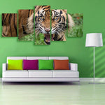 Sumatran Tiger 5 Piece Canvas Small / No Frame Wall